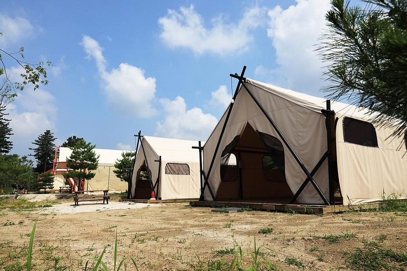 연지곤지팜캠핑장 시설 사진 1