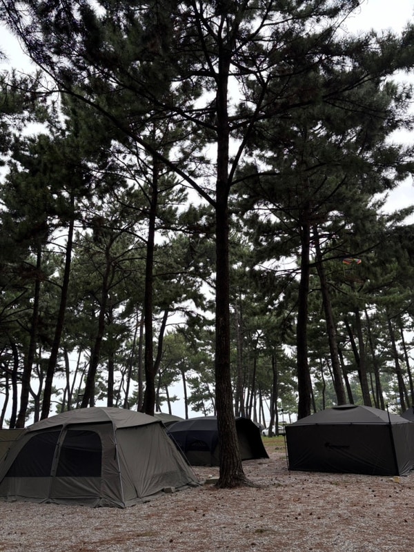 고창 구시포 노을캠핑장 2박 솔직후기