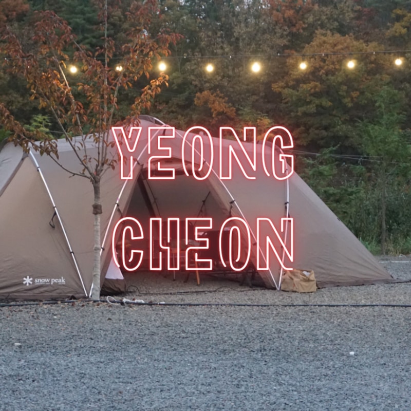 영천 별밤캠프 2박 3일 다녀온 솔직 후기, 5살 딸과 10개월...