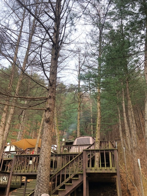 남양주 수동면 휴림캠핑장 1박2일 캠핑 후기(남양주캠핑장...