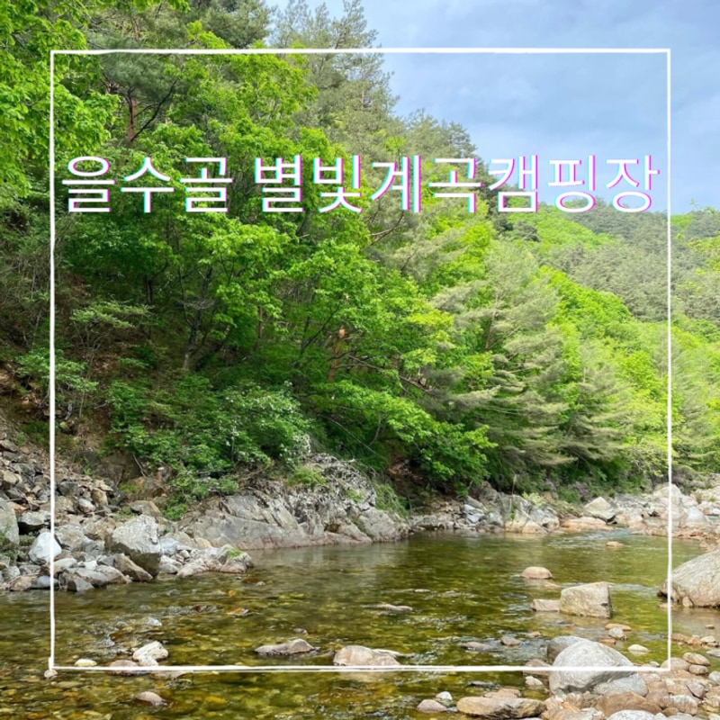 [강원 홍천] 을수골 별빛계곡캠핑장 : 계곡캠 / 가족캠...