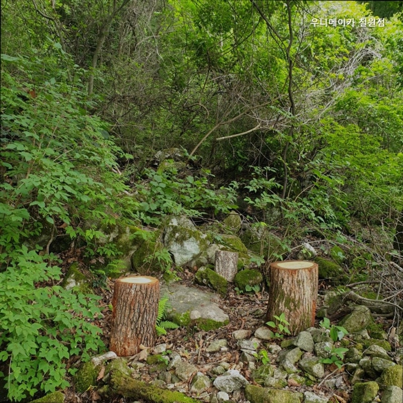 [철원 캠핑장] 우니메이카 철원점 매너캠핑의 정석