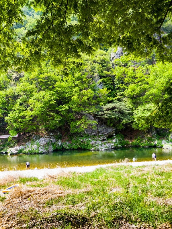 구름계곡캠핑장 시설 사진 26