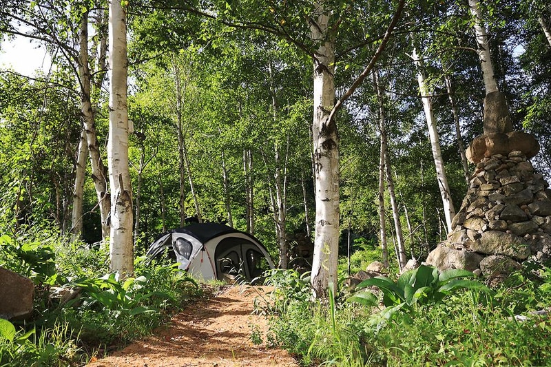 오아시스정글 시설 사진 8