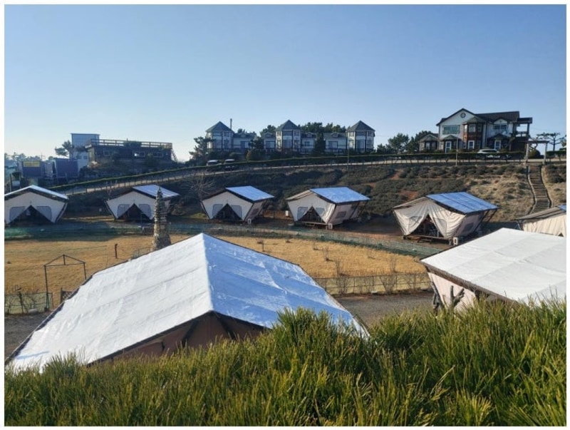 찾는다면 태안글램핑 태안 안면도 비비애견동반캠핑장...