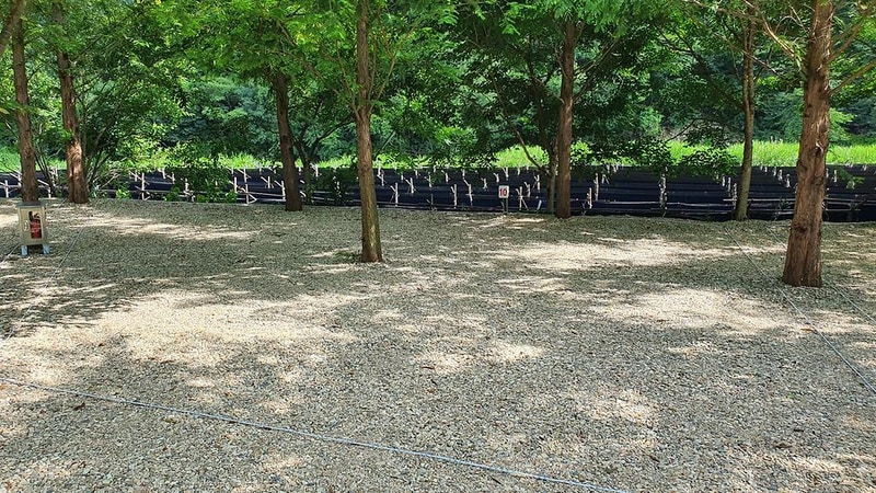 금산 자연 오토캠핑장 시설 사진 40