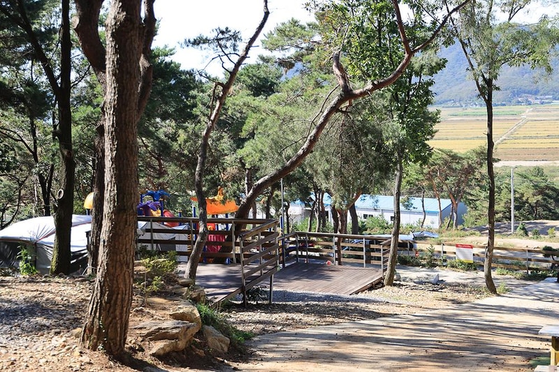 강화도 아침 숲속야영장 시설 사진 26