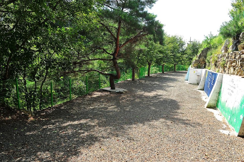 삼정오토캠핑장 시설 사진 3