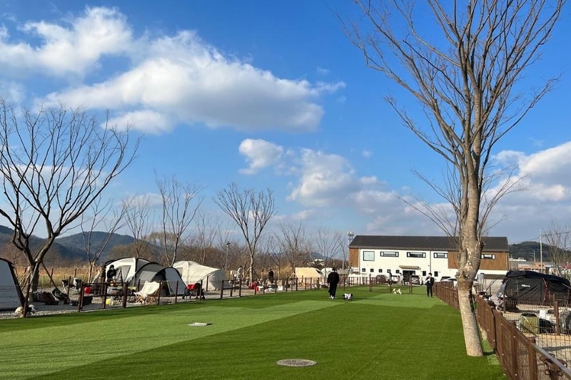 일랑일랑 애견캠핑 앤 카라반 시설 사진 9