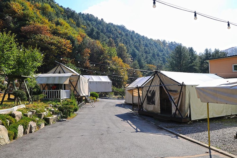 테라스527 캠핑장 시설 사진 2