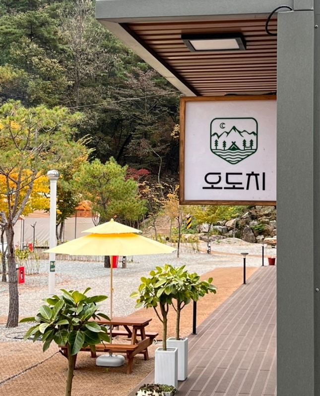 강원도 홍천  '오도치캠핑장' 신규 사이트  E존 후기(feat....