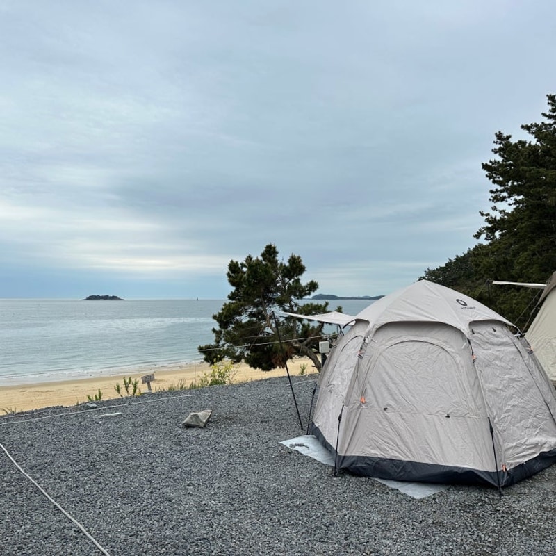 서해 원산도 사창캠핑장 해수욕장 앞 바다뷰 명당 추천 후기