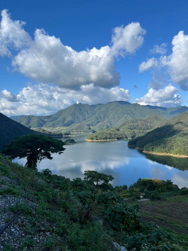 충주호를 품은 캠핑장 | 충주 퀸스타운 캠핑장 미친뷰 6층...