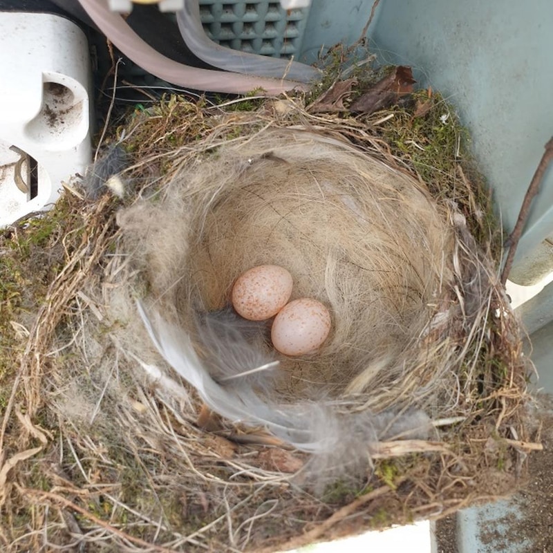 카우보이 캠핑장 시설 사진 31