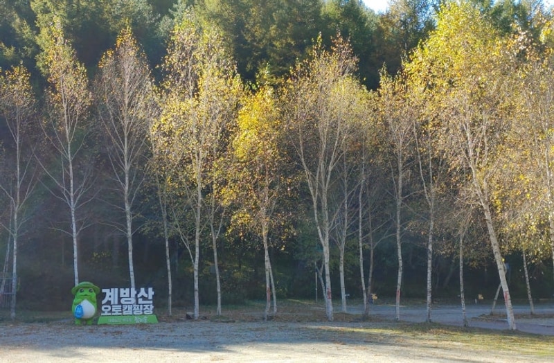 평창 캠핑장의 종합 세트, 계방산 오토캠핑장