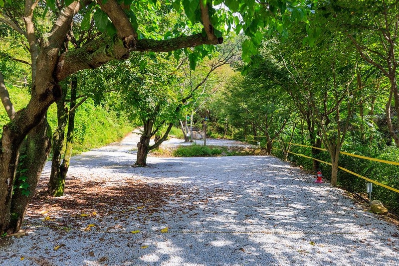 옥당걸숲속관광농원 시설 사진 15