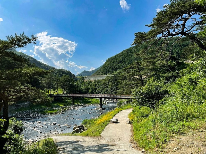 비건캠핑 시설 사진 4