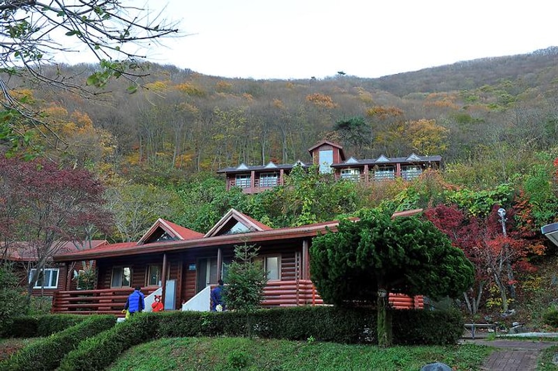 팔영산 자연휴양림 야영장 대표 사진