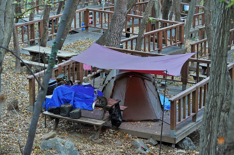 거제자연휴양림 시설 사진 3