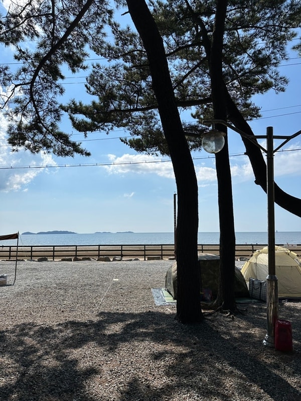 태안 몽산포 오토캠핑장 2구역