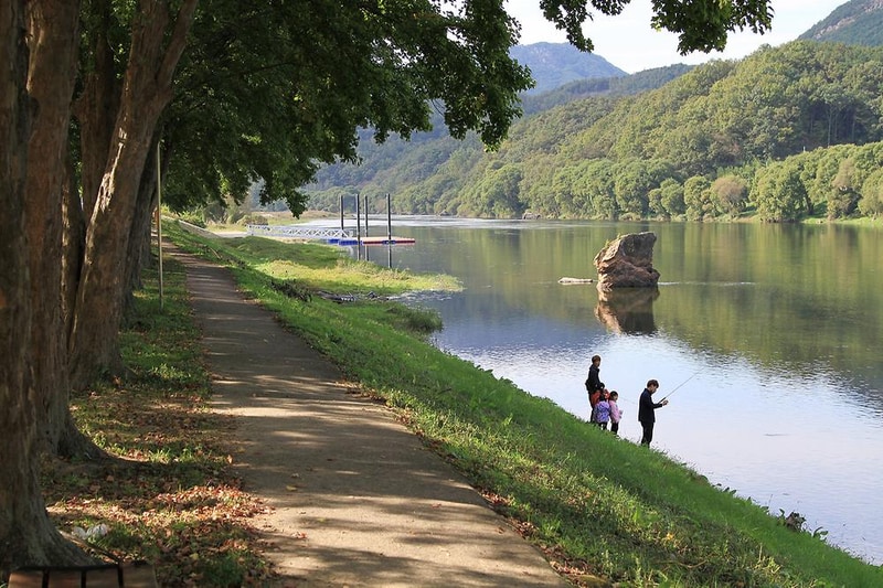 송호국민관광지 야영장 시설 사진 12
