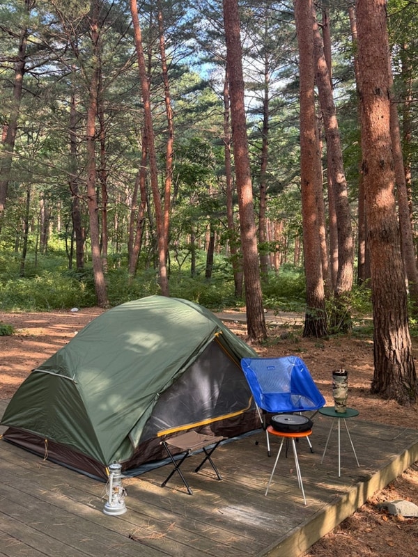 강릉 노추산 힐링 캠프 1박