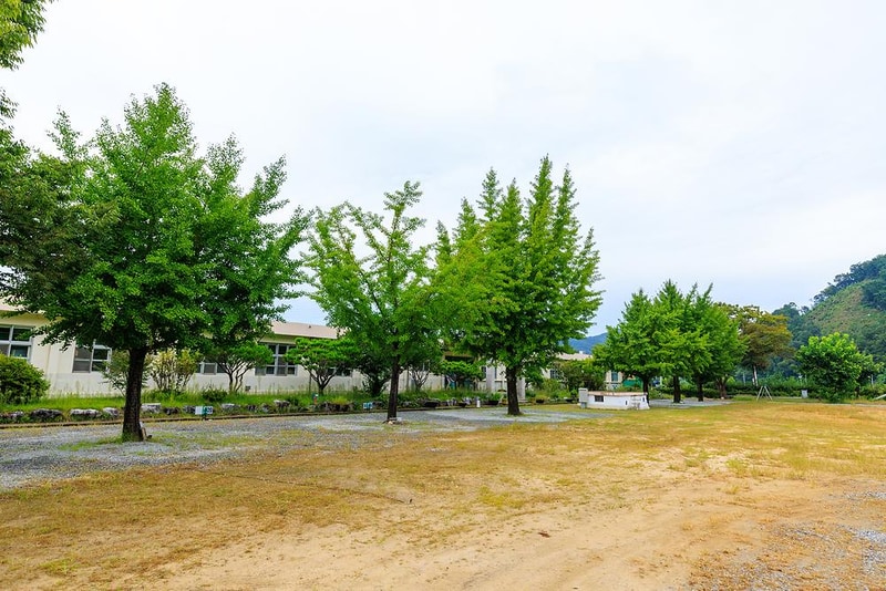 충주 비내캠프 체험학습장 시설 사진 12