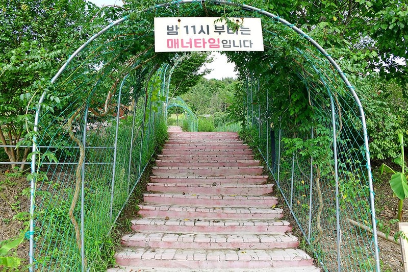 한실관광농원 야영장 시설 사진 4