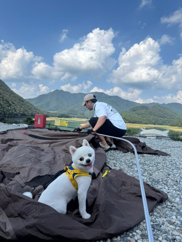 [ 충주 캠핑808 ] 첫캠핑/ 호수뷰 / 뷰맛집/ 애견동반 캠핑...