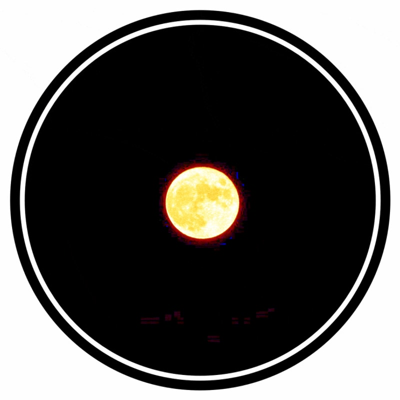 철원 가산농원 캠핑장 자연과 힐링 숲속 산책의 매력