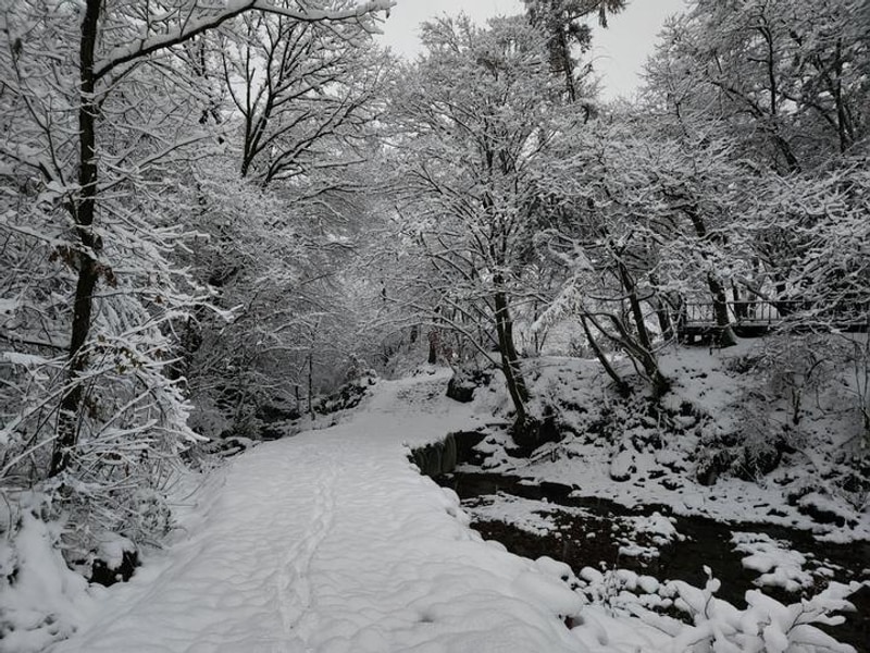 쿼크밸리캠프 야영장 대표 사진