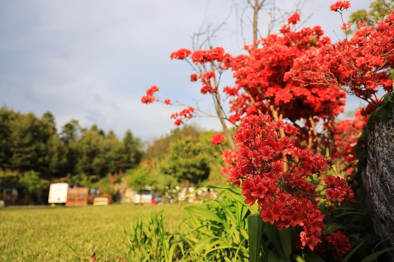 와우파크 시설 사진 4