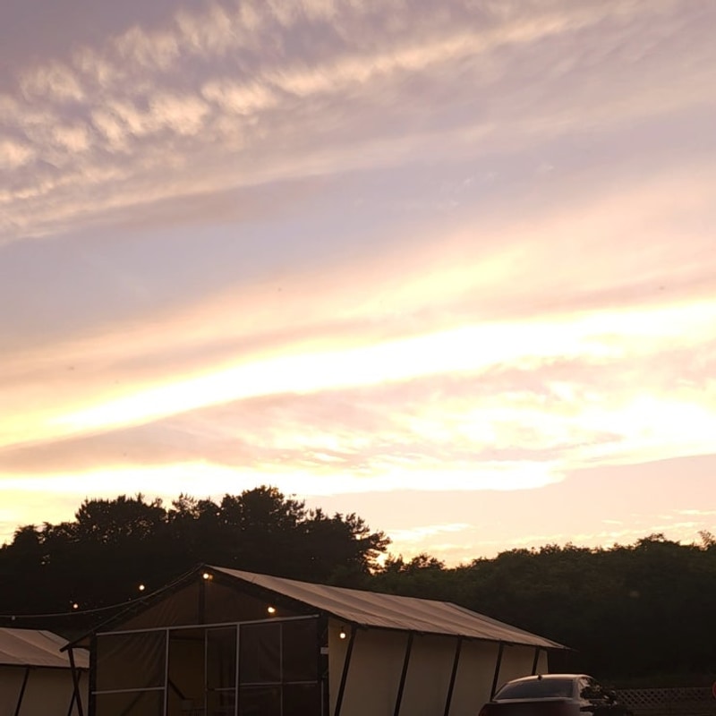 광주근교글램핑 애견동반 아이랑 가기 좋은 장흥 땡땡이글램핑...