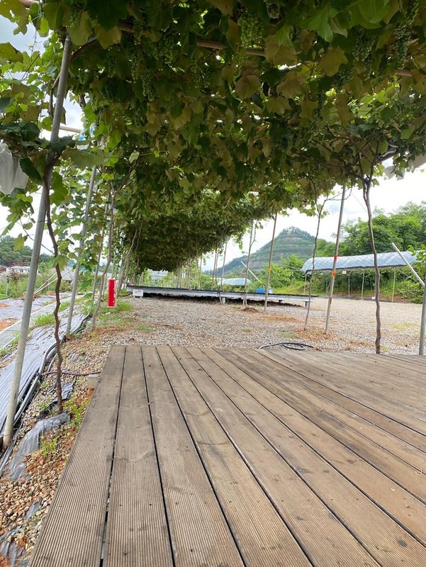 포도길 캠핑장 시설 사진 3