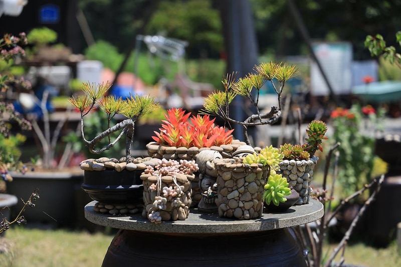 샛별글램핑 시설 사진 9