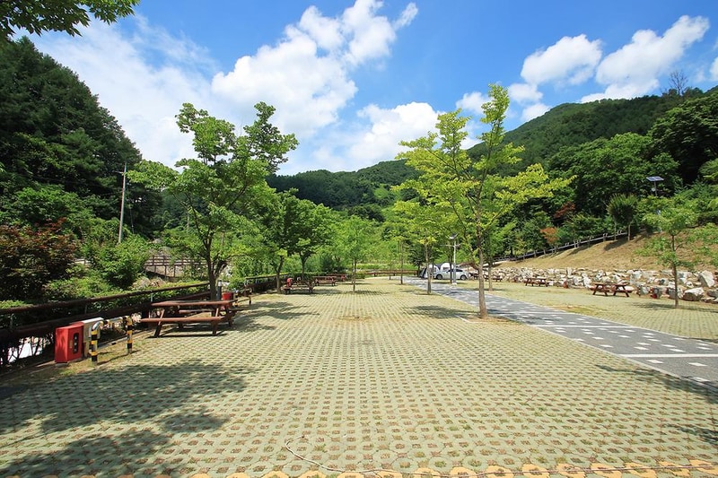 좌구산오토캠핑장 시설 사진 5