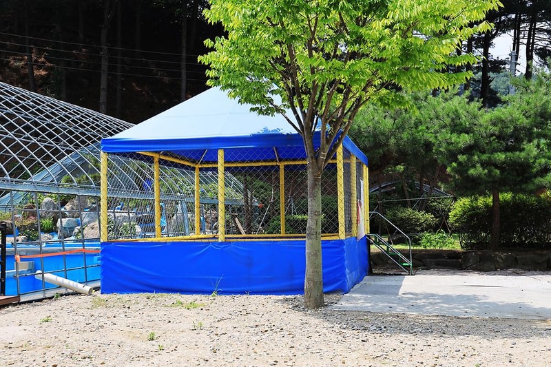 토일관광농원 시설 사진 11