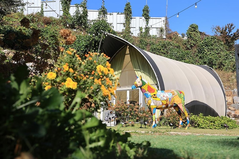 힐링캠프 제이앤엘(J&L) 시설 사진 20