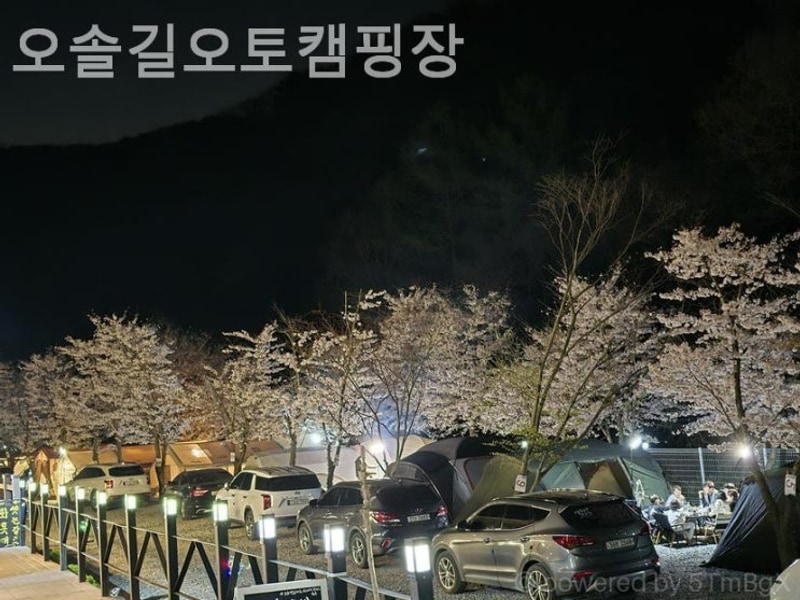 경주 캠핑장 오솔길오토캠핑장 일상 탈출을 위한 완벽한 선택