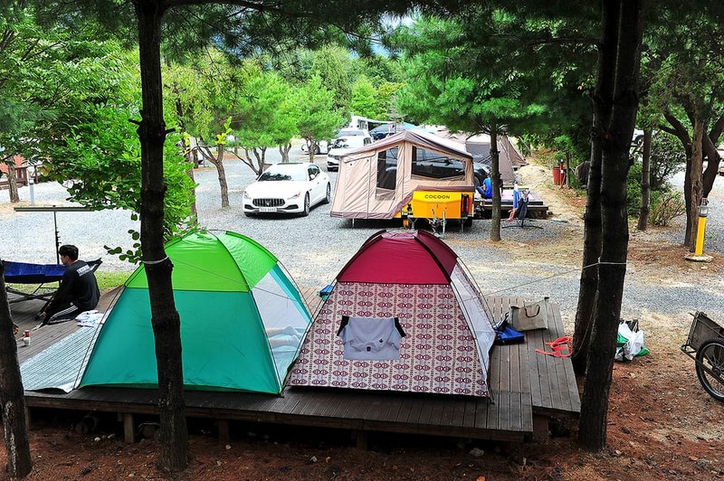 핫도그342애견글램핑카라반 주식회사 시설 사진 12