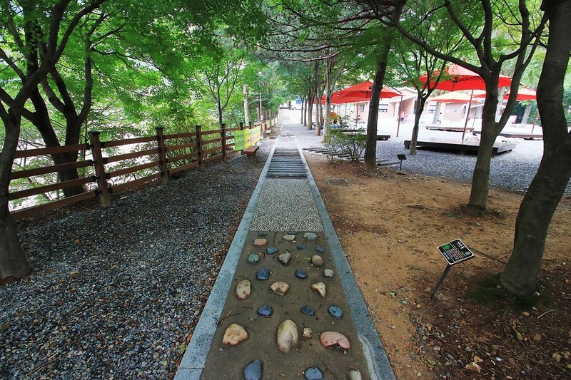 장령산자연휴양림 야영장 시설 사진 12