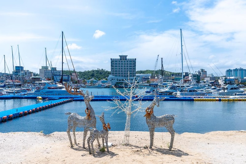 아쿠아베이(주) 글램핑 시설 사진 10