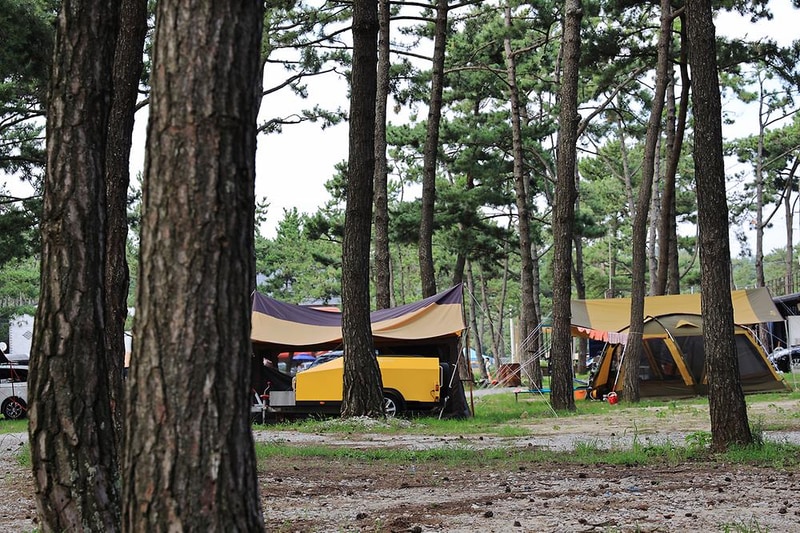 구시포 노을 캠핑장 시설 사진 14