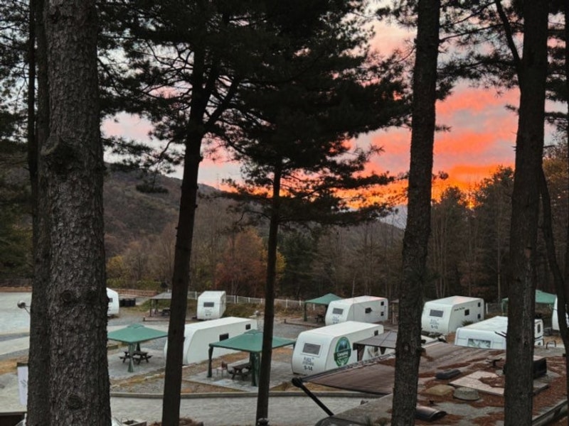 제천카라반 더그린에서 힐링가득 자연에서 숲캉스하고 왔어요