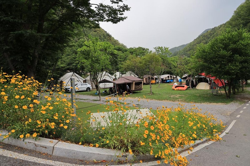 히어리캠핑장 시설 사진 3