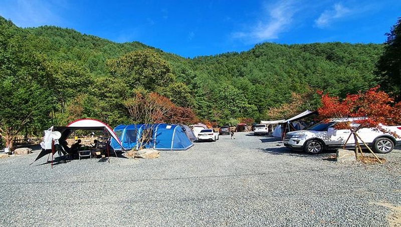 279캠핑장 대표 사진