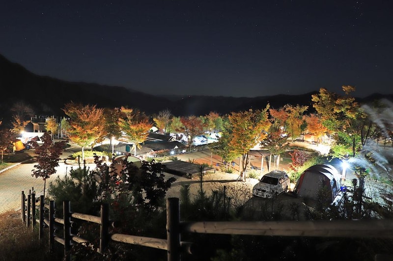 동강전망휴양림오토캠핑장 시설 사진 10