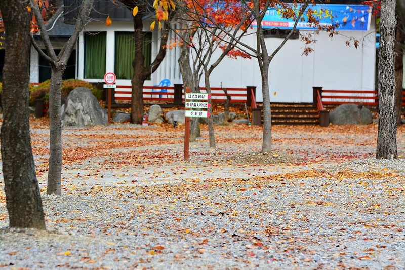 지지벨리 유명산 오토캠핑장 시설 사진 3