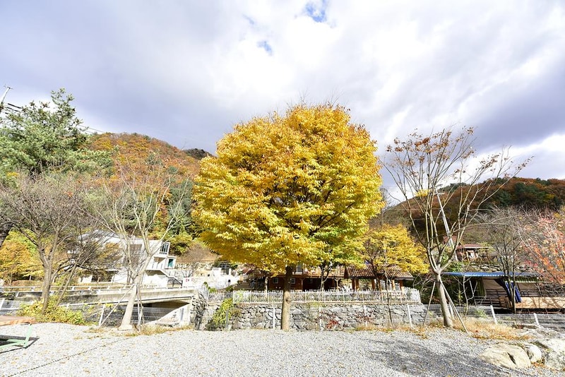 올래캠핑장 시설 사진 6