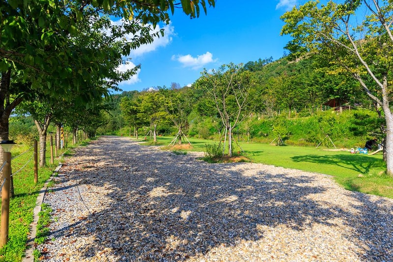 왕산골 관광농원 시설 사진 22